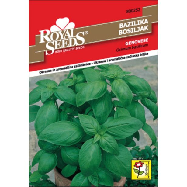 BAZILIKA ROYAL SEEDS GENOVESE 252