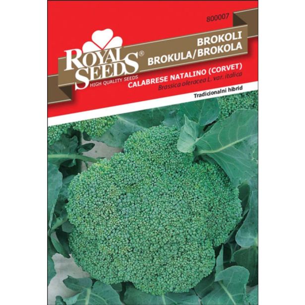 KAPUSNICA ROYAL SEEDS BROKOLI CORVET F1 7