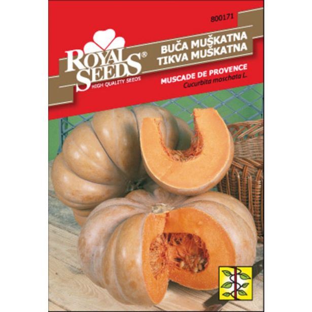 PLODOVKA ROYAL SEEDS BUČA MUŠKATNA 171
