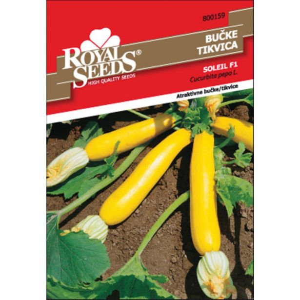 PLODOVKA ROYAL SEEDS BUČKA RUMENA 159