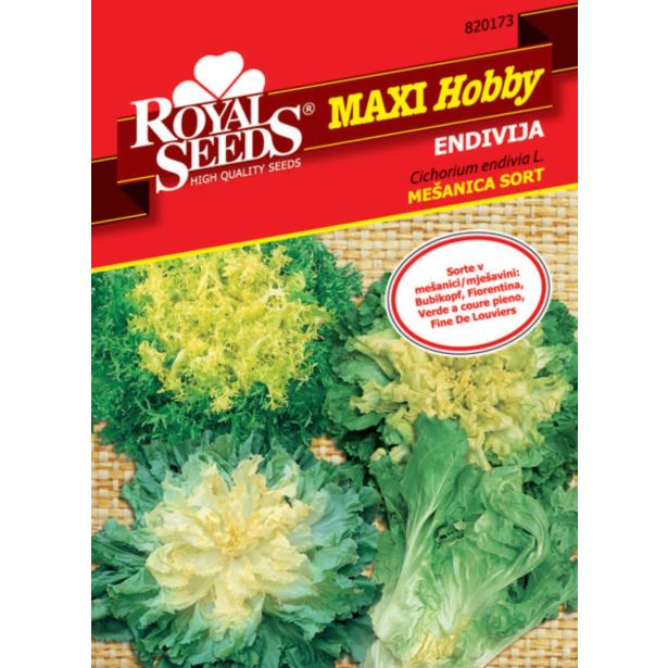 ENDIVIJA MEŠANICA SORT