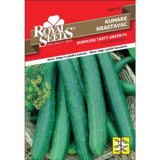 SEMENA ROYAL SEEDS KUMARE TASTY KING 145