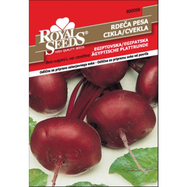 KORENOVKA ROYAL SEEDS PESA RD. EGIPTOVSKA 66