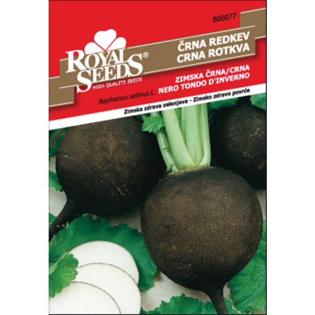 KORENOVKA ROYAL SEEDS REDKEV ZIMSKA ČRNA 77