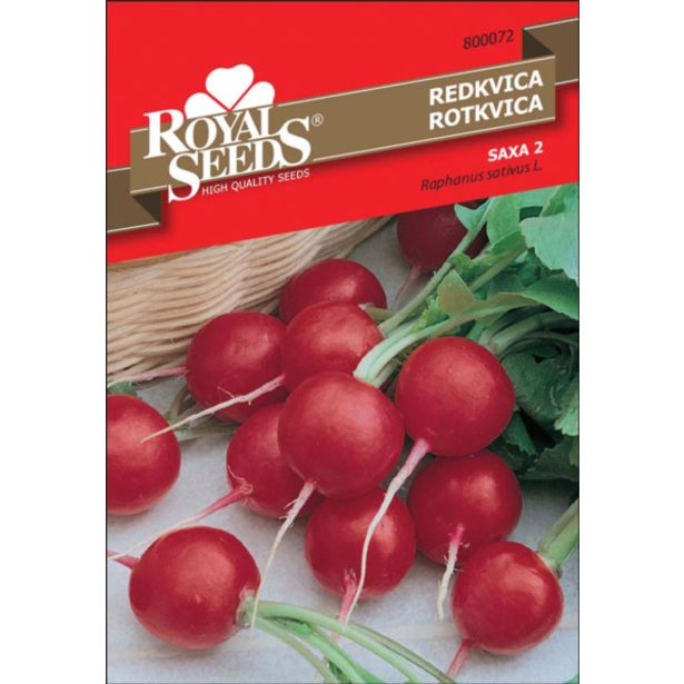 KORENOVKA ROYAL SEEDS REDKVICA SAXA 72