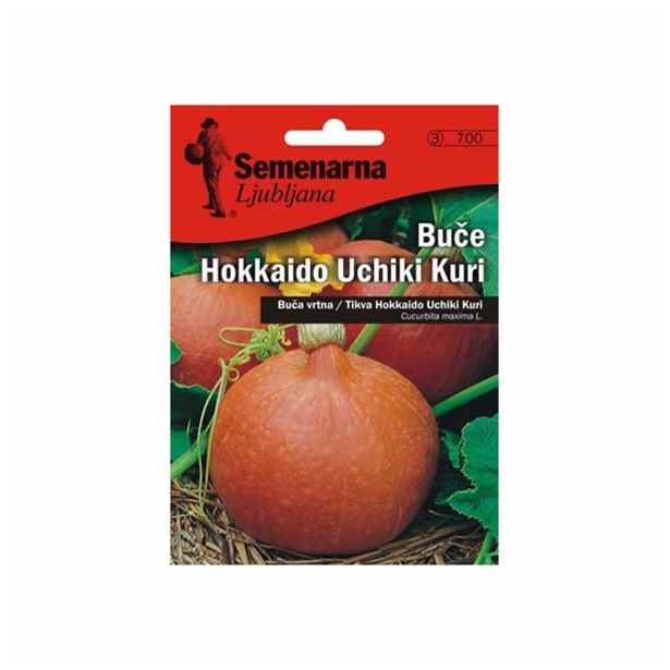 PLODOVKA SEMENARNA BUČKE UCHIKI KURI 700 HOKKAIDO V MALI VREČKI