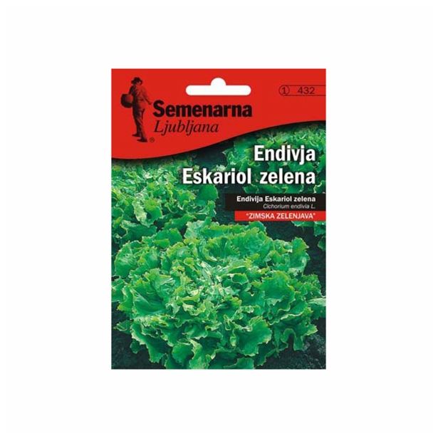 LISTNA ZELENJAVA SEMENARNA ENDIVIJA ESKARIOL ZELENA V MALI VREČICI 432