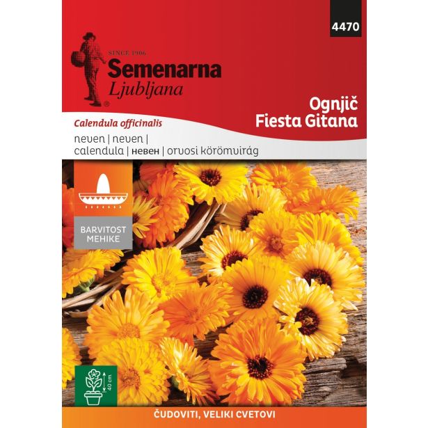 SEMENA SEMENARNA OGNJIČ 4470 FIESTA GITANA
