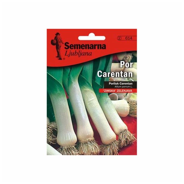 ČEBULNICA SEMENARNA POR CARENTAN V MALI VREČICI 614