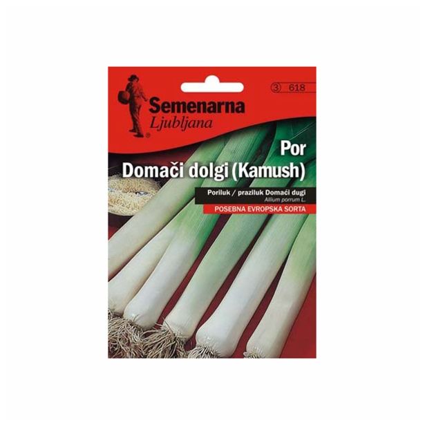 ČEBULNICA SEMENARNA POR DOMAČI DOLGI V MALI VREČICI 618