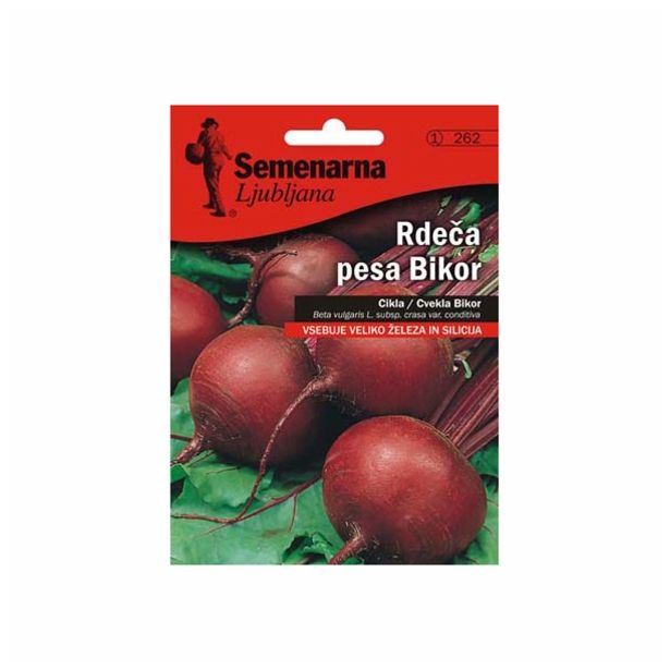 KORENOVKA SEMENARNA RDEČA PESA BIKOR V MALI VREČICI 262
