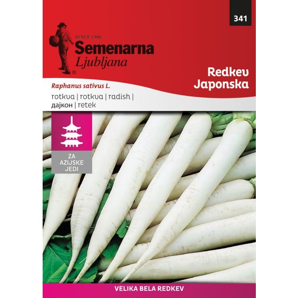 KORENOVKA SEMENARNA REDKEV DAIKON NR.3 F1 MINOWASE M.V. AZIJA 341