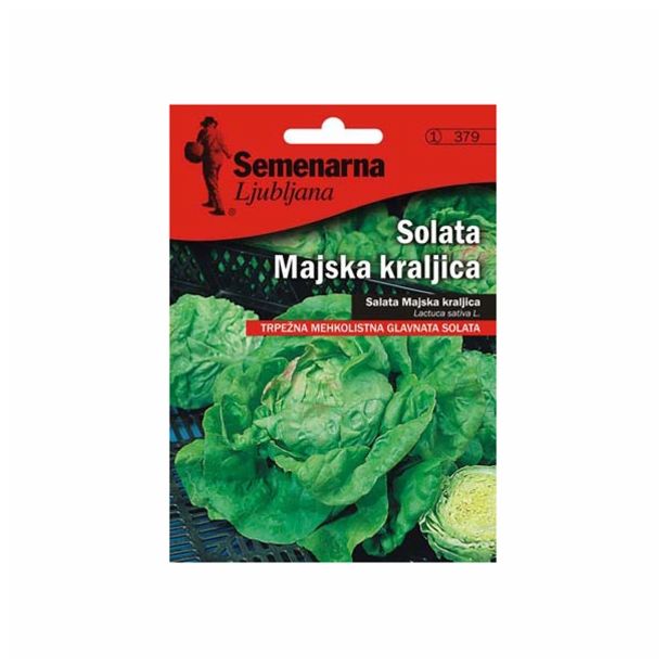 LISTNA ZELENJAVA SEMENARNA SOLATA MAJSKA KRALJICA V MALI VREČICI 379