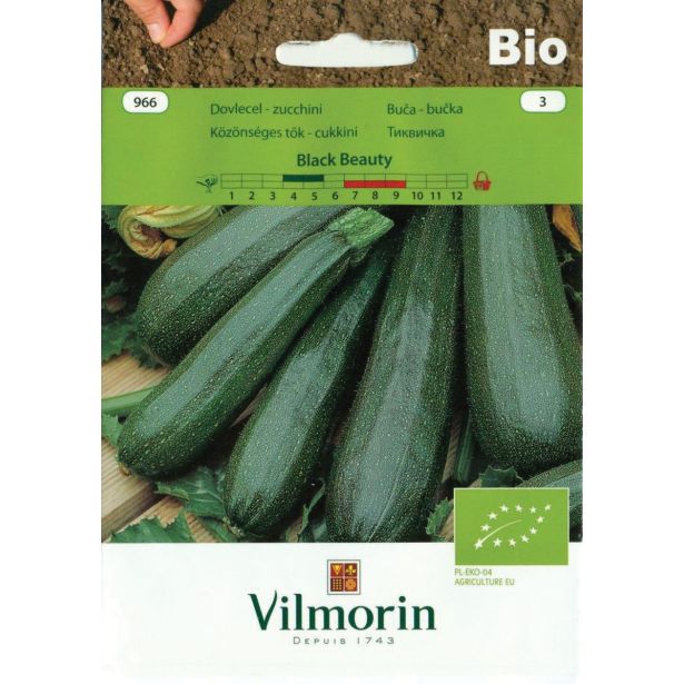 PLODOVKA VILMORIN BIO BUČKA BLACK BEAUTY