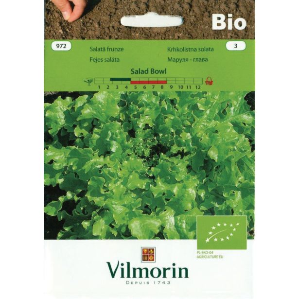 LISTNA ZELENJAVA VILMORIN BIO KRHKOLISTNA SOLATA SALAD BOWL