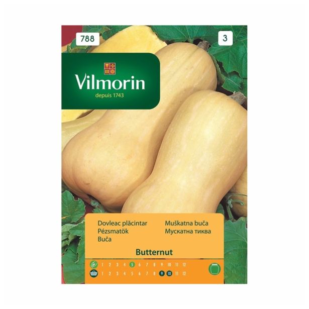 PLODOVKA VILMORIN BUČA BUTTERNUT