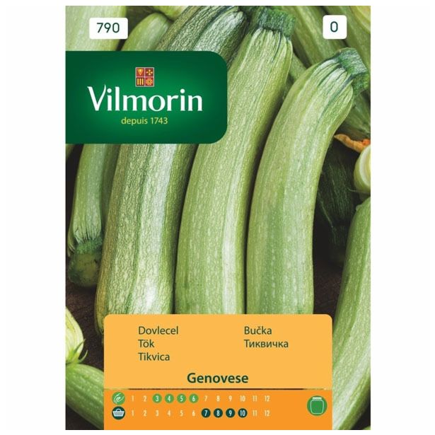 PLODOVKA VILMORIN BUČKA GENOVESE