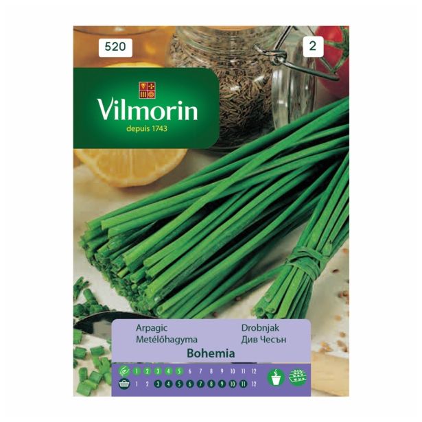 DROBNJAK VILMORIN BOHEMIA