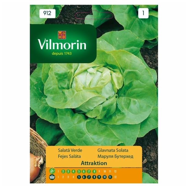 SEMENA VILMORIN GLAVNATA SOLATA ATTRAKTION