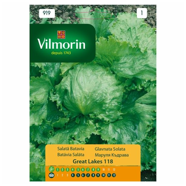 LISTNA ZELENJAVA VILMORIN GLAVNATA SOLATA GREAT LAKES 118