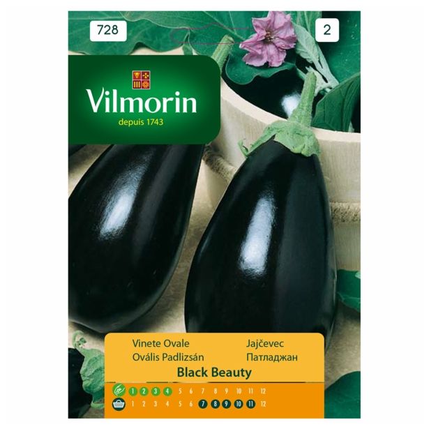 PLODOVKA VILMORIN JAJČEVEC BLACK BEAUTY