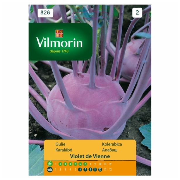 SEMENA VILMORIN KOLERABICA VIJOLIČNA WENER BLAUWE