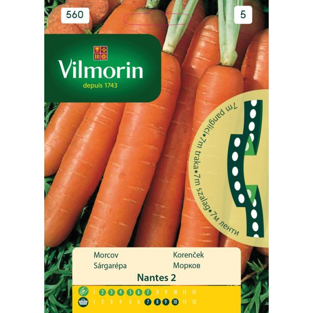 KORENOVKA VILMORIN KORENČEK NA TRAKU NANTES 2