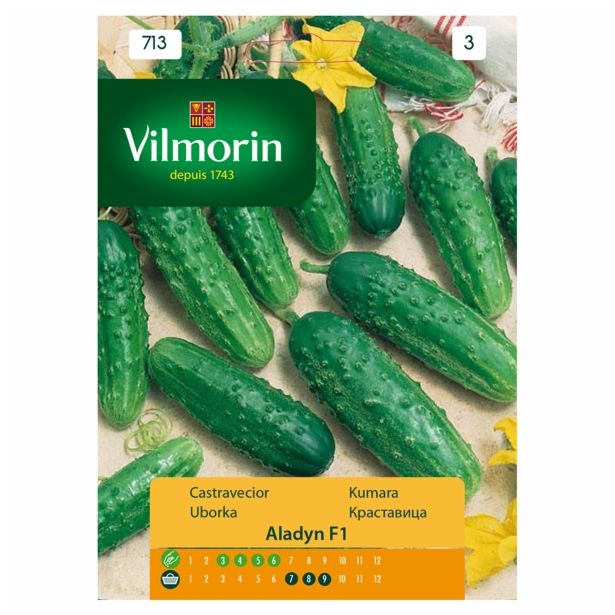 SEMENA VILMORIN KUMARA ALADYN F1