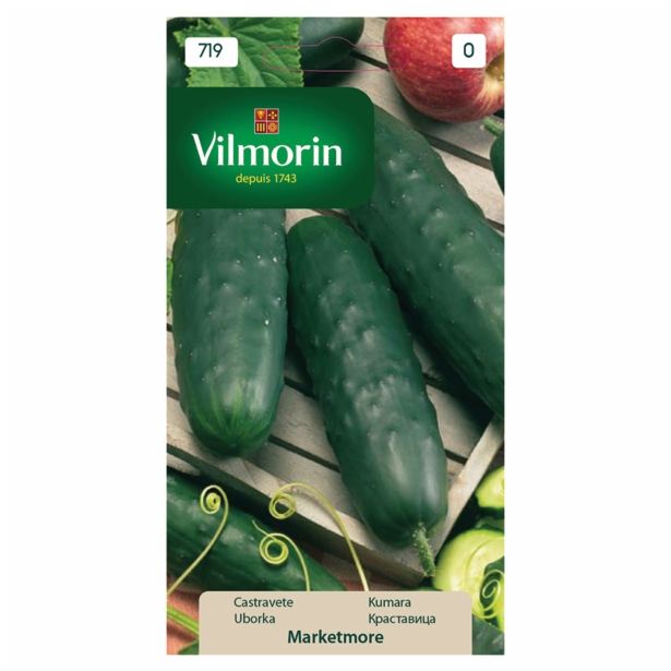 PLODOVKA VILMORIN KUMARA MARKETMORE