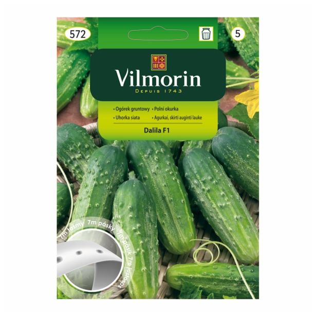 PLODOVKA VILMORIN KUMARA NA TRAKU HELA F1