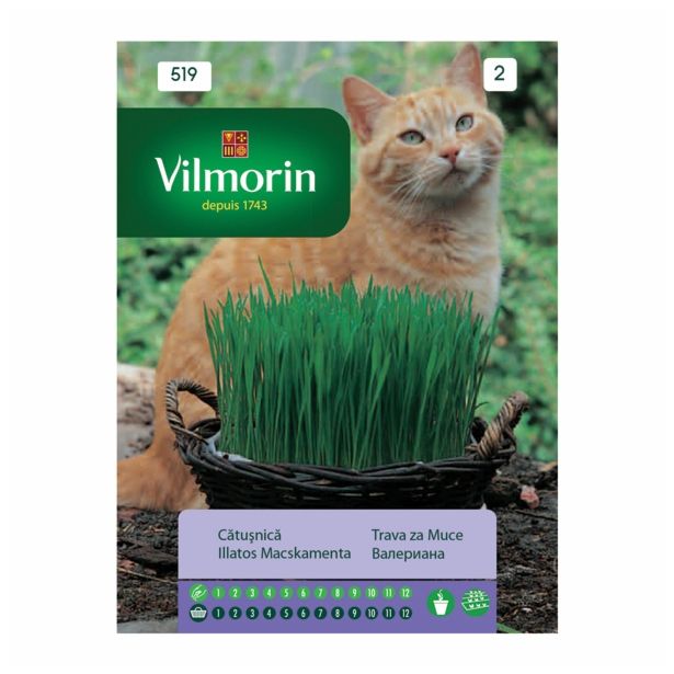 SEME VRTNINE VILMORIN MAČJA TRAVA