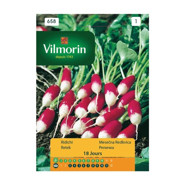 KORENOVKA VILMORIN MESEČNA REDKVICA 18DNI DE DIX-HUIT JOURS