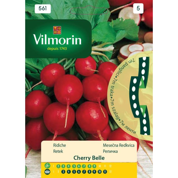 KORENOVKA VILMORIN MESEČNA REDKVICA NA TRAKU CHERRY BELLE