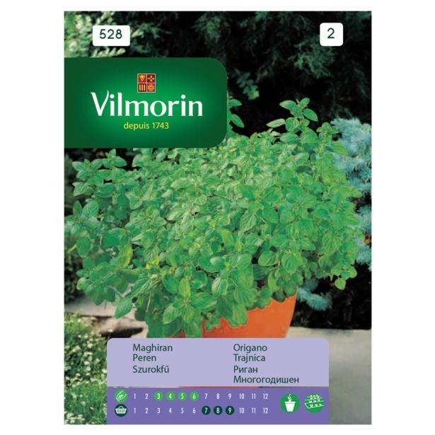SEMENA VILMORIN ORIGANO TRAJNI