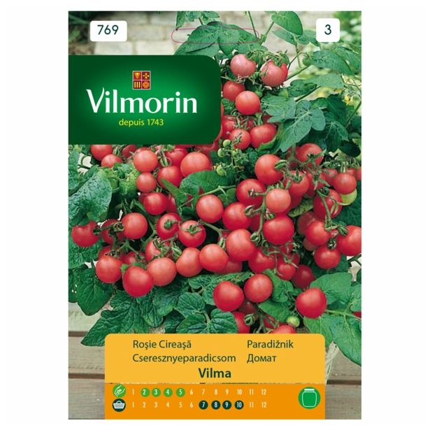 PLODOVKA VILMORIN PARADIŽNIK VILMA