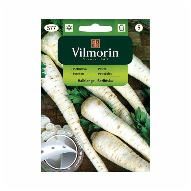 PETERŠILJ VILMORIN KOREN. NA TRAKU HALBLANGE - BERLINSKA