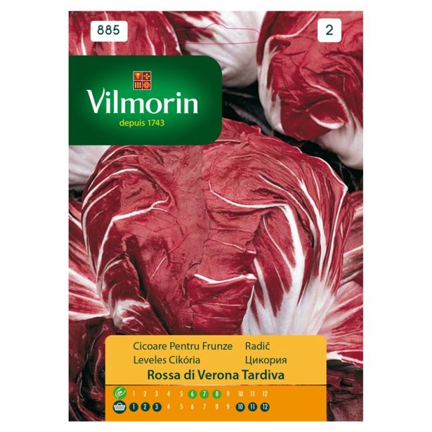 SEMENA VILMORIN RADIČ RDEČI POZNI ROSSA DI VERONA TARDIVA