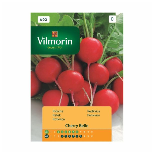 KORENOVKA VILMORIN REDKVICA CHERRY BELLE