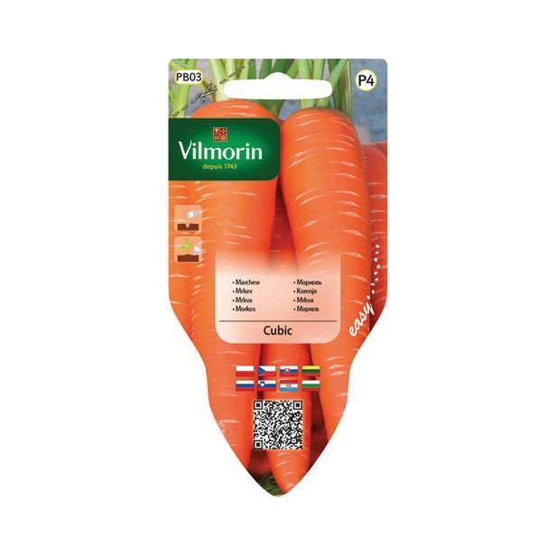 SEMENA VILMORIN SEJALNIK KORENJE OLYMPUS