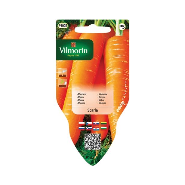 SEMENA VILMORIN SEJALNIK KORENJE SCARLA