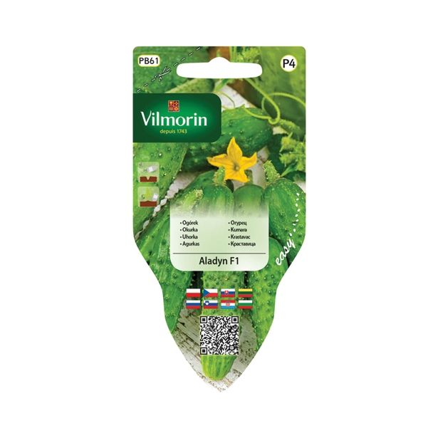 PLODOVKA VILMORIN SEJALNIK KUMARA ALADYN F1