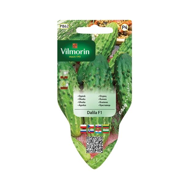 SEMENA VILMORIN SEJALNIK KUMARA DALILA F1