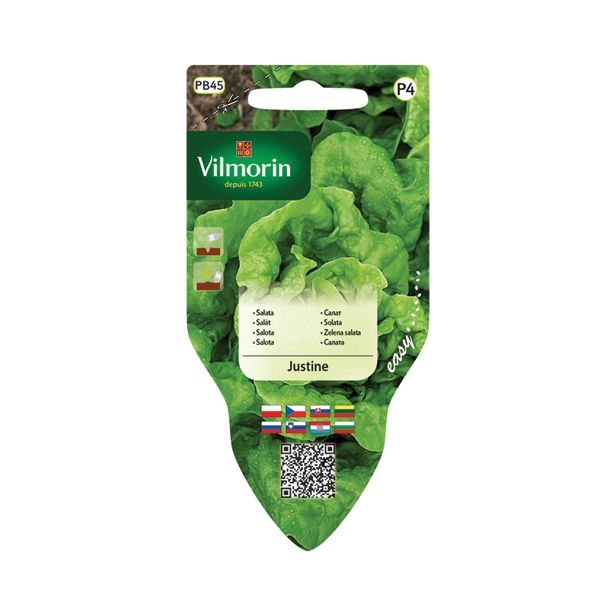 SEMENA VILMORIN SEJALNIK SOLATA JUSTINE