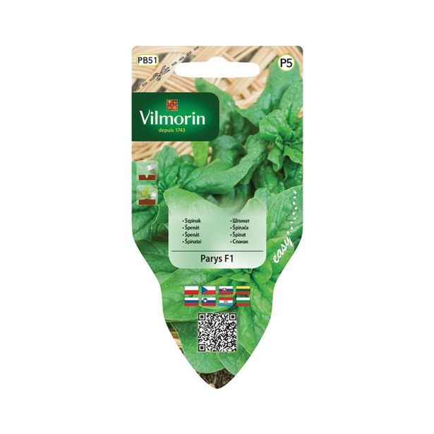 SEMENA VILMORIN SEJALNIK ŠPINAČA PARYS F1