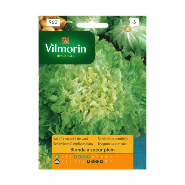 SEMENA VILMORIN ŠIROKOLISTNA ENDIVIJA BLONDE A COEUR PLEIN