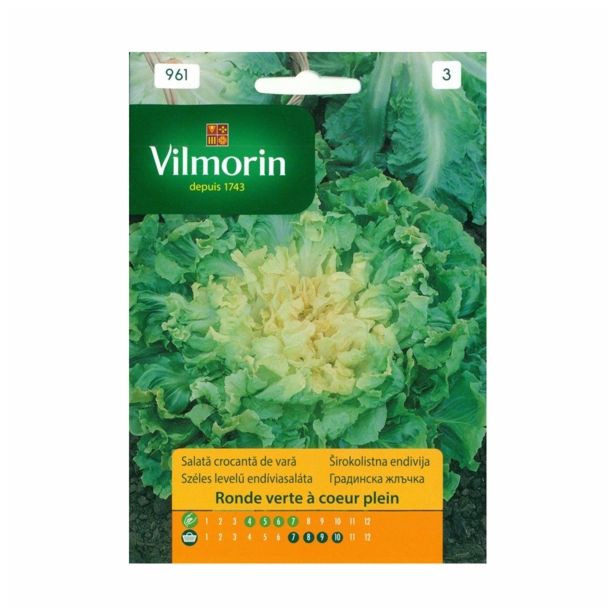 LISTNA ZELENJAVA VILMORIN ŠIROKOLISTNA ENDIVIJA RONDE VERTE A COEUR PLEIN