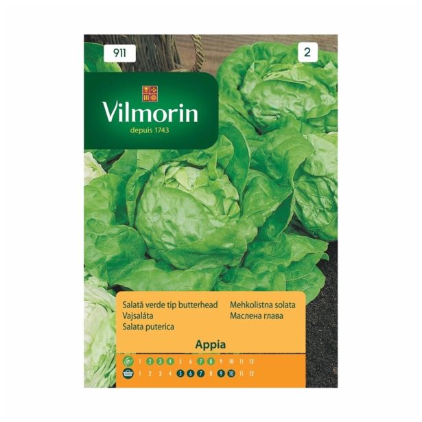 SEMENA VILMORIN SOLATA APPIA