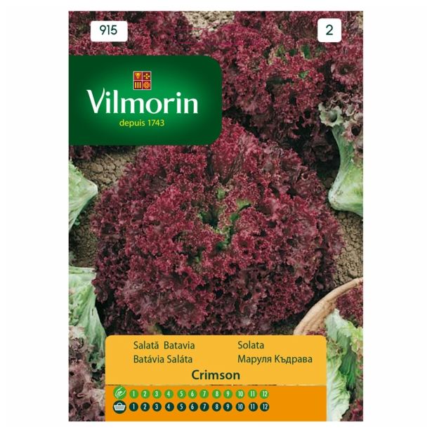 SEMENA VILMORIN SOLATA CRIMSON