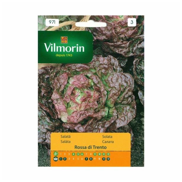 SEMENA VILMORIN SOLATA ROSSA DI TRENTO