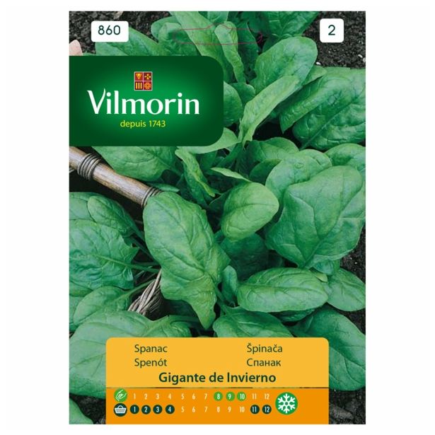 LISTNA ZELENJAVA VILMORIN ŠPINAČA ZIMSKA GIGANTE DE INVIERNO